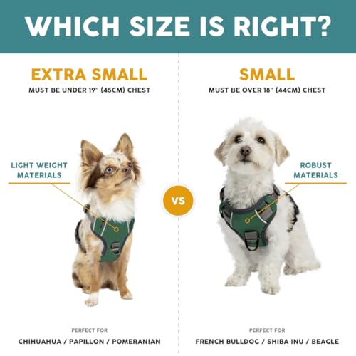Embark Pets Adventure Dog Harness, No Pull Dog Harness with 2 Leash Clips - Image 4