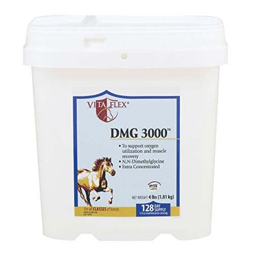 Vita Flex DMG 3000 Concentrate, 128 Day Supply, 4 lbs
