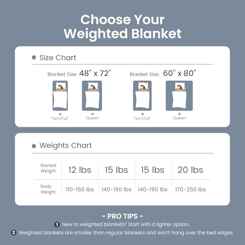Image of Drewin Weighted Blanket for Adults Queen Size 15lbs, Soft Cozy Turtleback Sherpa Weighted Blankets for Sleeping and Calming, Thick Bed Blanket for Couch Bed, 60 x 80 inches, Dark Grey
