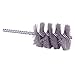 Single Spiral Wire Brush, 1-1/2", PK10