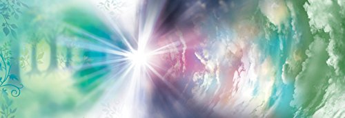 Pokémon Y [import anglais]