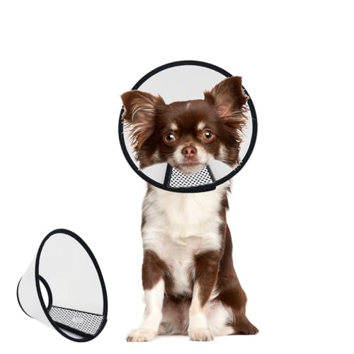 Image of Dog Cone After Surgery, Adjustable Pet Recovery Collar for Dogs and Cats, Plastic Elizabethan Neck E-Collar Stop Licking Wounds (M-D)