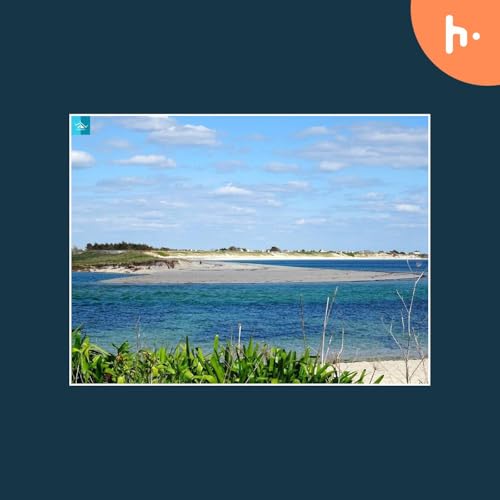 Discover the Tranquility of Bharatpur Beach: A Hidden Gem in Andaman cover art