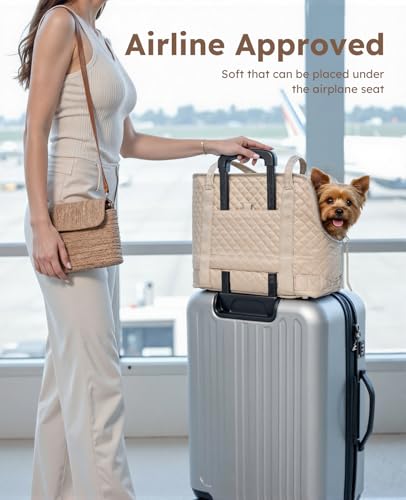 pecute Hundetasche für Kleine Hunde 4kg, Tragetasche Hund Hundetragetasche Leichte, Faltbare Hundetransportbox, Katzen Transporttasche für Unterwegs (Khaki)