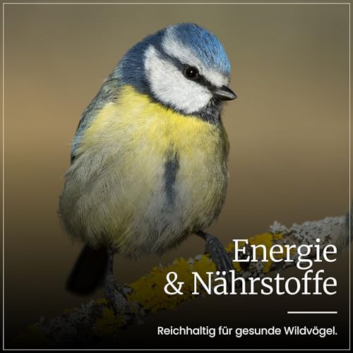 Erdtmanns Streufutter für Wildvögel – Futtermischung mit Sonnenblumenkernen, Hirse & Getreide – energiereiches Vogelfutter für Ganzjahresfütterung – für Garten, Balkon & Futterhaus (10 kg)