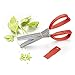 Besiva Herb Scissors Stainless Steel,Multipurpose Kitchen Shear with 5 Blades with Cleaning Brush (Green)