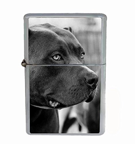 Amazon.com: Pitbull Dog Flip Top Oil Cigarette Lighter : Health & Household