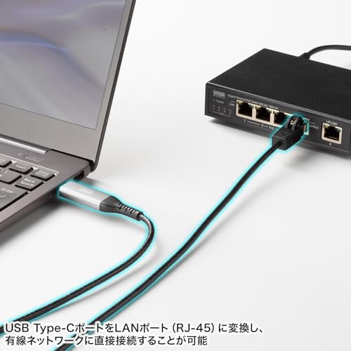 サンワサプライ(Sanwa Supply) USB Type-C LAN変換ケーブル KB-SL6CLAN03BK の商品画像 2