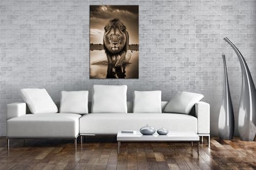 Impression lion sur toile 100 x 70 motif sépia symbole de force