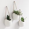Wall Planters Ellie Hanging Ceramic Plant Pots 3 Pieces Wall Decoration for Indoors Balcony and Garden White Matte
