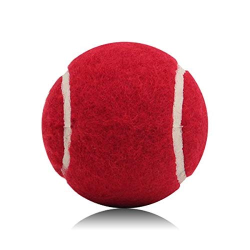 Ciko Cricket Tennis Ball Hard High Bouse Pack of 1 (Red (Mehroon)) (B0CLH594DL) Amazon Price History, Amazon Price Tracker