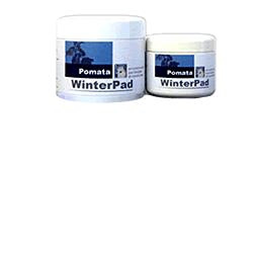 I.C.F. Winterpad Pomata, 150 Ml, Standard, 750 Millilitro