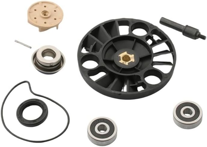 Water Pump Repair Kit for by RST 125 X8 X9 En 200cc 100110230
