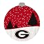Georgia Bulldogs