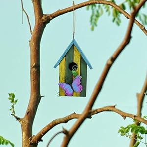 Bird House for Outside Hanging Rustic Wood Bird House Outdoor Garden Patio Hand Painted Decorative Birdhouse for Finch Bluebirds Sparrows Chickadees Cardinal (Butterfly) Bird House for Outside Hanging Rustic Wood Bird House Outdoor Garden Patio Hand Painted Decorative Birdhouse for Finch Bluebirds Sparrows Chickadees Cardinal Butterfly