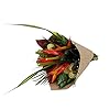 BloomsyBox: Tropical Bouquet Rainforest Sunrise with Birds of Paradise, Loofah, Lobster Claw, and Tropical Greenery…
