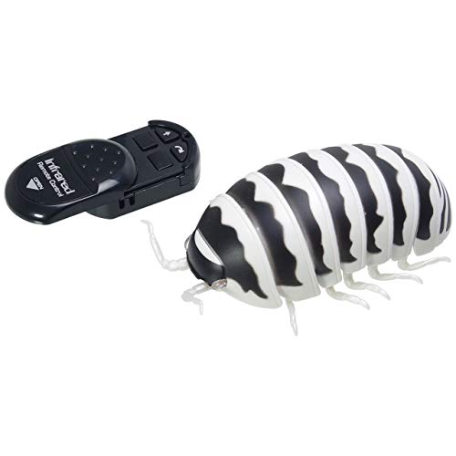 思い切って野虫を食べてみよう ダンゴムシさんで 素揚げ ニコニコ動画 思い切って野虫を食べてみよう ダンゴムシさんで 素揚げ ニコニコ動画