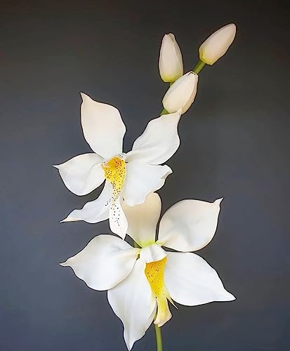 MEARCOOH Foam Sheets Crafts White 9x12 Inch 2mm Eva Color Craft Foam Paper for Crafts Project Preschoolers Classroom Scrapbooking DIY Cosplay(10 Sheets) - Image 7