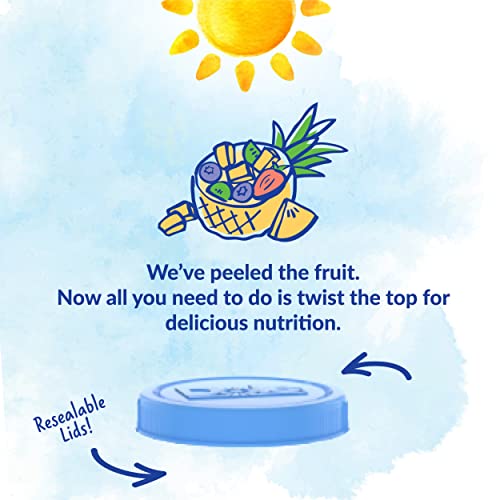 Dole Pineapple Chunks in 100% Fruit Juice, 23.5 Oz Jar