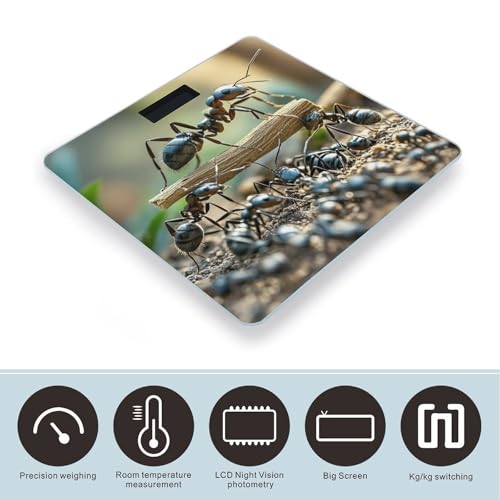 Báscula Digital Ant Bridge de Vidrio Templado para Baño miniatura 3