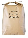 【コシヒカリ 10kg分 無