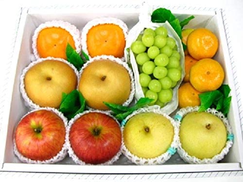 ʕ ̃t[cZbg fruit    v[g 