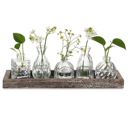 Hewory Kleine Vasen für Tischdeko Esstisch: 5er Mini Vasen Set mit Holztablett für Deko Wohnzimmer - Vintage Kleine Glasvasen Blumenvase Glas für Room Decor Home Zuhause Geburtstag Party