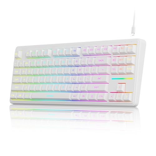 EWEADN V80 �L��TKL RGB�Q�[�~���O�L�[�{�[�h-�z���C�g