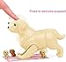 Barbie Doll & Pets Playset with Mommy Dog, 3 Newborn Puppies with Color-Change Feature & Pet Accessories, Brunette Fashion Doll