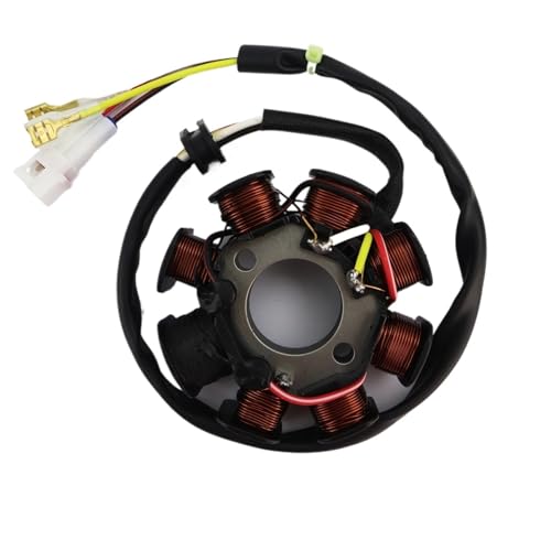 Stator de moto 55439204000 idéal pour sorties enduro en 300 EXC