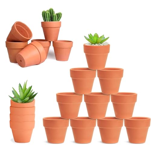 HDKAJL 20Pcs Small Terracotta Plant Pots, 4.5cm Mini Flower Pots,Small Ceramic Plant Pots with Drain Hole, Tiny Terracotta Pots for Cactus Succulent House Plants Flowers DIY Home Office Indoor Outdoor