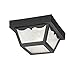Acclaim P4901BK Durex Collection 1-Light Ceiling Mount Outdoor Light Fixture, Matte Black