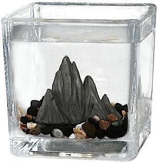 Small Square Fish Bowl Aquarium - Desktop Eco-Friendly Micro Landscape for Office & Guest Room Decor - Glass Teacup Design Fish Tank Ornaments (L)