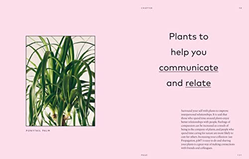 The Healing Power of Plants: The Hero Houseplants That Will Love You Back
