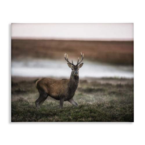 Stupell Industries Wild Deer Landscape Photo, 24 x 30 Inch Canvas Wall Art