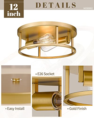 Hanass Gold Flush Mount Light Fixture, 12 Inch Modern Ceiling Light In Metal Gold Finish, 2-Light Flush Mount Ceiling Light For Living Room Kitchen Dining Room Bedrooms Foyer Hallways, Mx99992 #TOP1