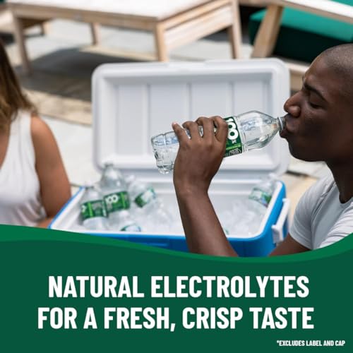 Poland spring 100% Natural Spring Water - 12 Bottles/12 FL oz - Pack of 2 (24ct/ 144 fl oz in Total)