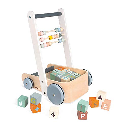 Janod Sweet Cocoon Push Pull ABC Block Cart with 20 Alphabet Blocks for 1 Year + (J04408)