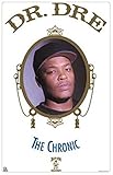 BlueFire Dr. Dre - Chronic Poster Print (22 x 34)