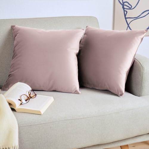 Blumtal Juego de 2 Fundas de Cojín de Terciopelo - Cojín Decorativo con Cremallera Oculta, Decoración para Hogar, Sofás, Camas, Violeta, 50 x 50 cm