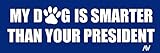 AV Pollitical Decal, My Dog is Smarter Than Your President Bumper Sticker, Anti Biden Vinyl, Not My...