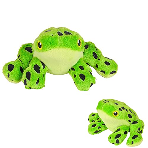 Best Tree Frog Stuffed Animal For Your Child