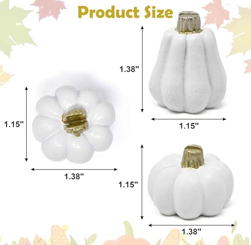 Gift Boutique Thanksgiving Mini White Pumpkin Place Card Holders Set of 6 Fall Wedding Table Number Name Tag Bridal Shower Dinner Party Decor Supplies