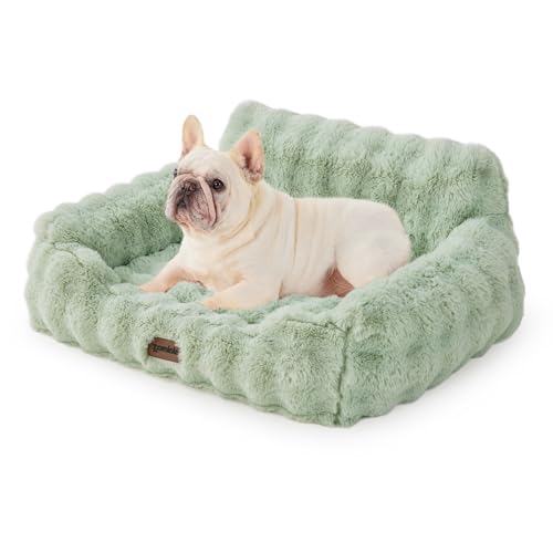 Orthopedic Cat Couch Bed for Indoor Cats, Cute Small Dog Sofa wit...