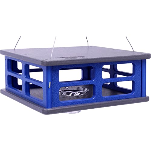 Amishtoybox.com Bluebird Feeder - Poly Lumber - Hanging Block House Blue Bird Feeder For Mealworms (Gray And Blue) #TOP25