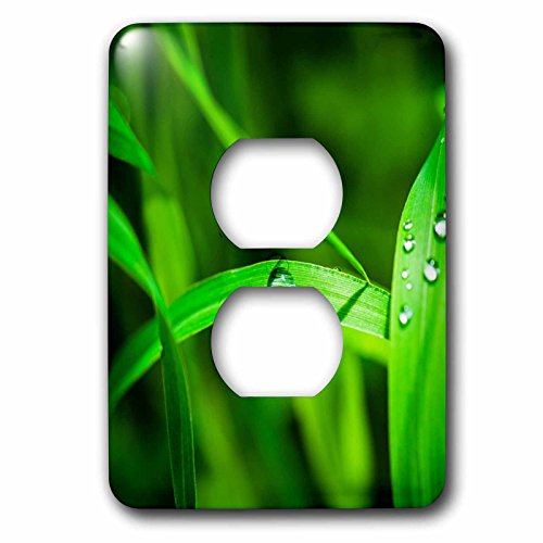 Couvercle de prise herbe verte de qualité supérieure 3dRose - 3
