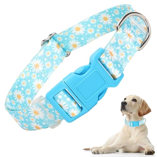 Dog Collars for Puppy Small Dogs with Blue Daisy Flowers Floral Design for Boy Girl Dogs, Adjustable Comfy Soft Pet Collar with Safety Buckle for XS Small Medium Large Dogs(XS) XS (Neck 7"-9