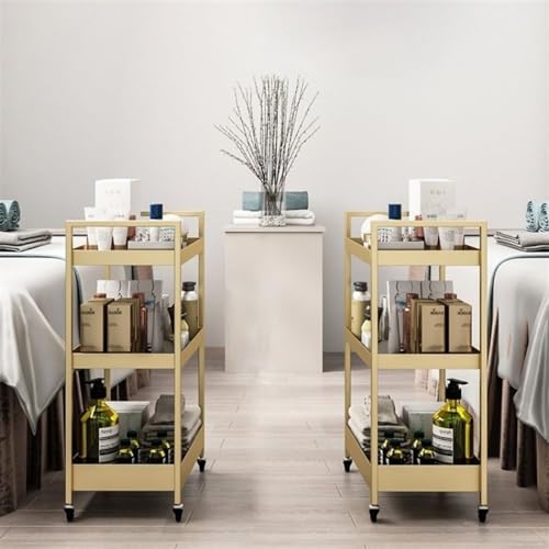 Support de rangement à roulettes pour salon de manucure et esthétique
