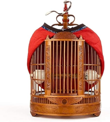 Xiraivke   ybg |҂ oȂ ^IE jA ŃVv 炩ő@