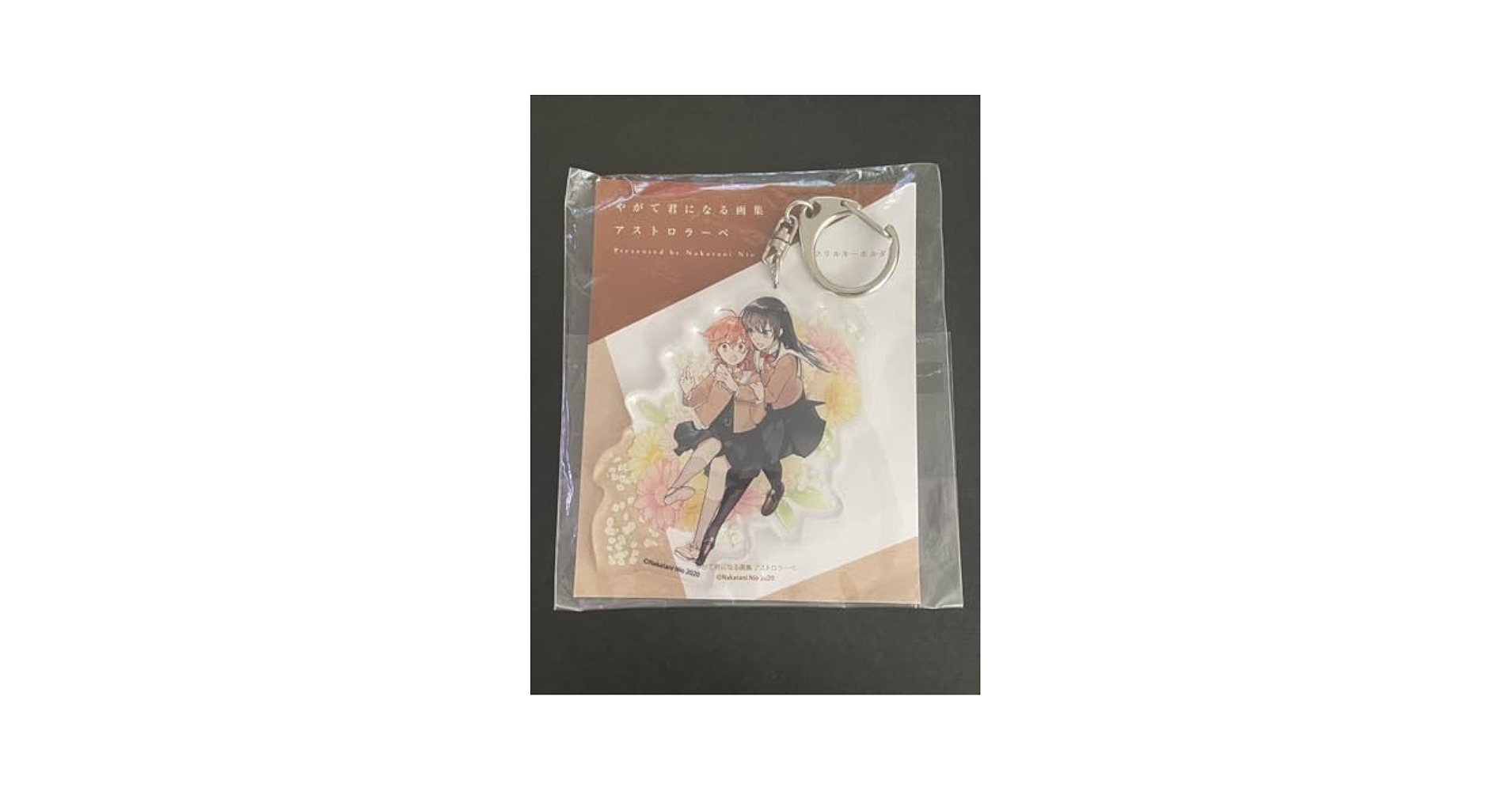 やがて君になる 画集 アストロラーべ 特典 クリアファイル 初版